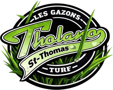 logo-tholano-website-logo